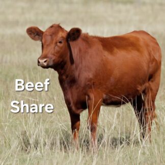 Beef Share Qurbani